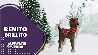Reno Navide&ntilde;o en Pa&ntilde;o Lency: &iexcl;Dale Vida a la Magia de la Navidad! 🎄🦌 #teleamiga