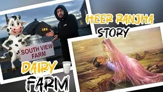 Real Story Of Heer Ranjha❤️ | Dairy Farm Plan Failed😮