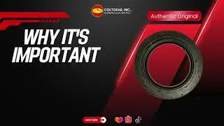 Transmission Oil seal