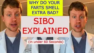 SIBO (синдром избыточного бактериального роста в тонком кишечнике) &ndash; объяснение за 60 секунд