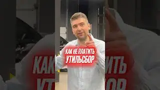 Как не платить утильсбор #подборавто #автоизгермании #автоизкореи