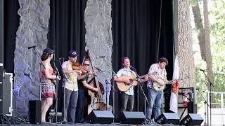 Oh Darlin'  - The Lonely Heartstring Band