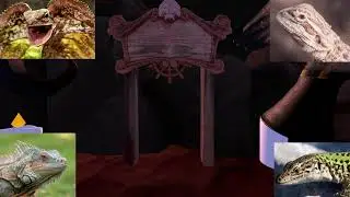 Sail vr Damage Board Live