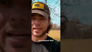 How DEEP Did They Till? 🚜👨&zwj;🌾 #permaculture #homesteading #gardening #shortsfeed #farm