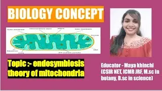 Endosymbiosis theory of mitochondria@MKclass09 
