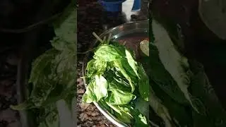 Home Doctor, Super Tasty & Very Refreshing Morning Detox with 