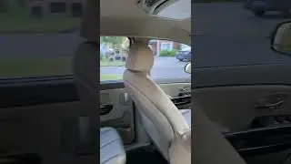 Kia Carnival 2018