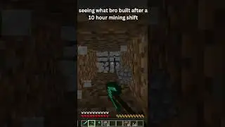 seeing what bro built after a 10 hour mining shift