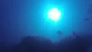 Long Caye Scuba Diving