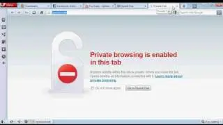 Browsing In Private Using Opera