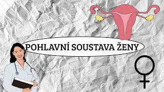 ŽENSKÁ POHLAVNÍ SOUSTAVA - vnitřní a zevní orgány