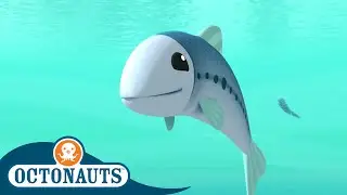 @Octonauts - The Sardine School | Full Episode 40 | Cartoons for Kids | Underwater Sea Education