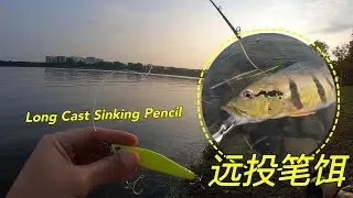 Bedok Reservoir Fishing  |Long Cast Noeby Sinking pencil | 勿落蓄水池鱼都躲哪里？ 使用远投饵搜索钓花脸 #fishing #pancing