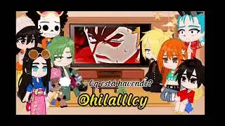 👒💫 Mugiwaras reagindo ao luffy 【JoyBoy】👒💫