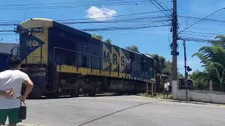 Corrida de trens: Composição de celulose da MRS e movimentação de C30-7 escoteira em Cezar de Souza 