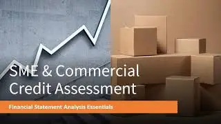 Financial Statement Analysis: SME & Commercial Credit Assessment