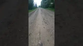 3 июля 2024 г.