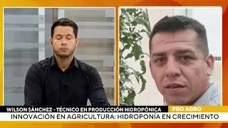 Innovación en agricultura: hidroponía en crecimiento