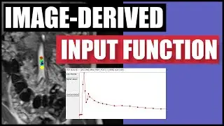 FireVoxel Tutorial 10: Image-Derived Input Function