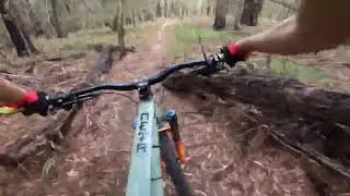 Mountain Biking in Merimbula.
