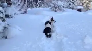 Djupsn&ouml;