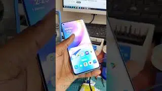One Plus 8 Green Screen Problem