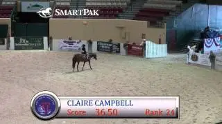 Saturday Indoor Class 119 Medium Pony Hunter Handy Stake