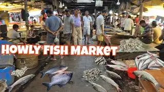Fresh Catch of the Day! A Walk Through Howly Fish Market, Assam #villagelife #fishing 