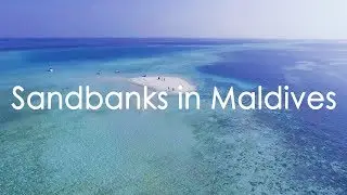 Maldives Sandbank Picnic with Canopus Retreats Thulusdhoo