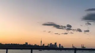 Drive with me through Auckland city 🌆