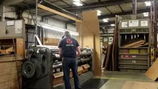 Plant 1