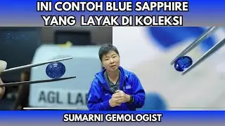 BLUE SAPPHIRE YANG  LAYAK DIJADIKAN KOLEKSI