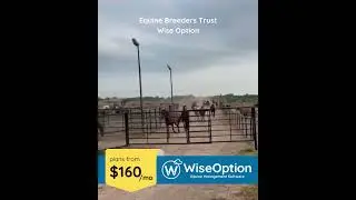 Equine Breeders Trust Wise Option | The Software for Equine Vets | Equine Management App