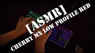[KEYBOARD ASMR] Cooler Master SK631 with CHERRY MX LOW PROFILE RGB RED | Typing & Switch Sound