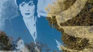 Enya - The Memory of Trees (Original Instrumental)