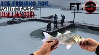 Ice Fishing for White Bass at Utah Lake!!! - (Ft. Backyard Boy T.V.)