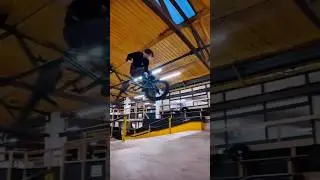 Switch pegs whipp #bmx #skatepark #shorts #shortsfeed #bikelife #bmxlife