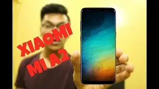 Xiaomi MI A2 -  Launch Date, Price, Camera and Specifications | All you Need To Know