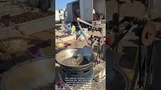 Automatic Sunflower Seed Roasting Machine: Even Roasting with Stirring Shovel & Roasting Pan