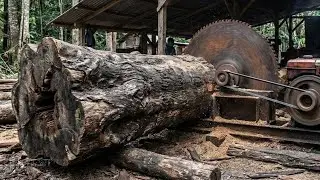 extraordinary exotic wood cutting  