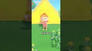 New Animal Crossing game coming soon for the Switch 2? #animalcrossing #switch2