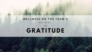 New Gratitude Journal Out February 13th! Find more Joy!