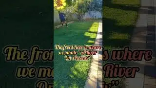 🌼 An Hours Gardening In 5 Seconds Then In 50 Seconds #gardening #mowing #flickweed