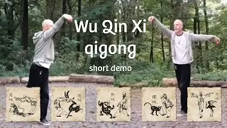 Wu Qin Xi (5 animal classics) qigong demo in short | by @NieuweDagNL