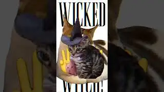 Flip it around, wicked witch! #wicked
