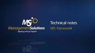 Non Performing Loans framework