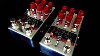 Chase Bliss Audio Tonal Recall RKM - Double Feature
