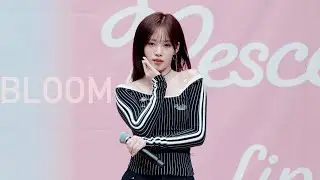 260124 리센느 리브 'Bloom' (RESCENE LIV Fancam) 4K 직캠 | 3rd Mini Album プロモーションイベント