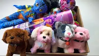 [💥ASMR Toy🧸] Satisfying🌈 Unboxing Minutes | Labubu Blind Box ASMR | Oddly Satisfying#asmr#unboxing#