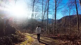 🇦🇹 A Scenic Trail in the Austrian Alps (ONE SHOT - NO CUTS - 4K) #alps #walking